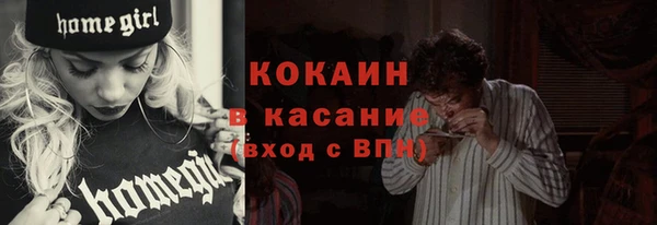 амф Новозыбков
