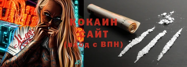 амф Новозыбков