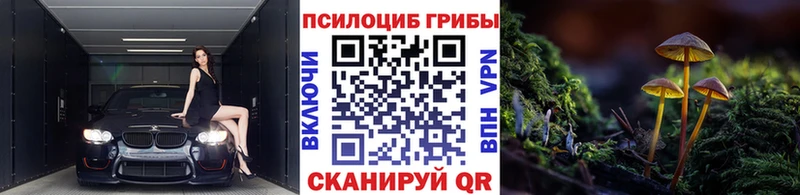 где продают   Камызяк  Галлюциногенные грибы ЛСД 